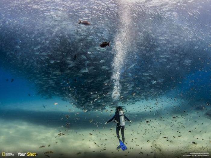 Maravíllate con algunas de las mejores fotos de 'National Geographic' de 2015