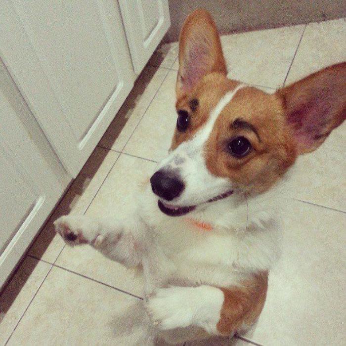 7 webs para reírse un rato (FOTOS)