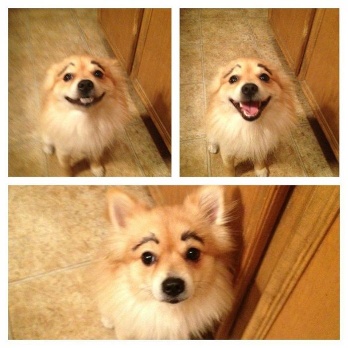 7 webs para reírse un rato (FOTOS)