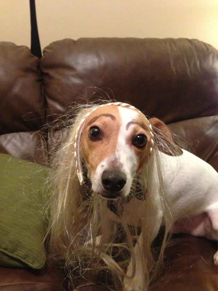 7 webs para reírse un rato (FOTOS)