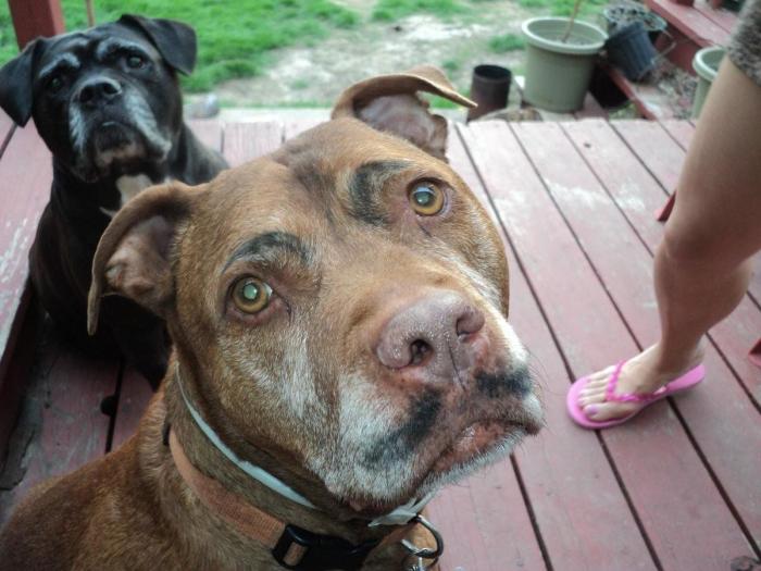 7 webs para reírse un rato (FOTOS)