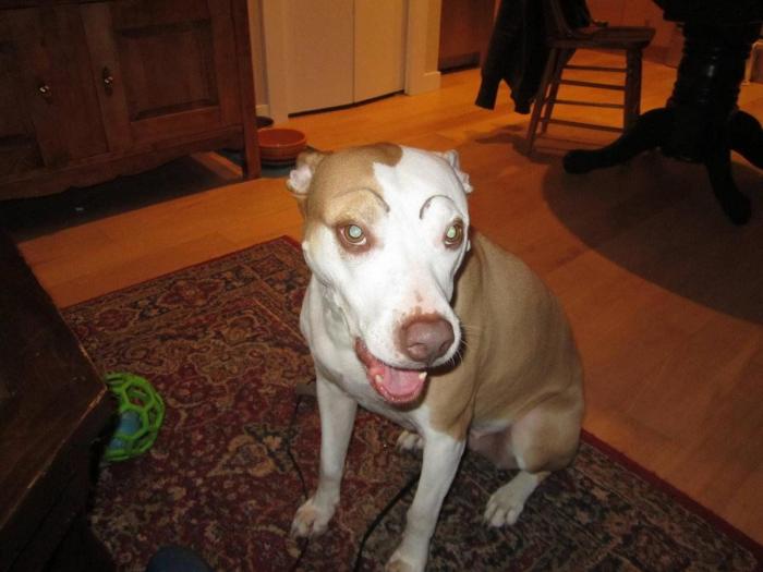 7 webs para reírse un rato (FOTOS)