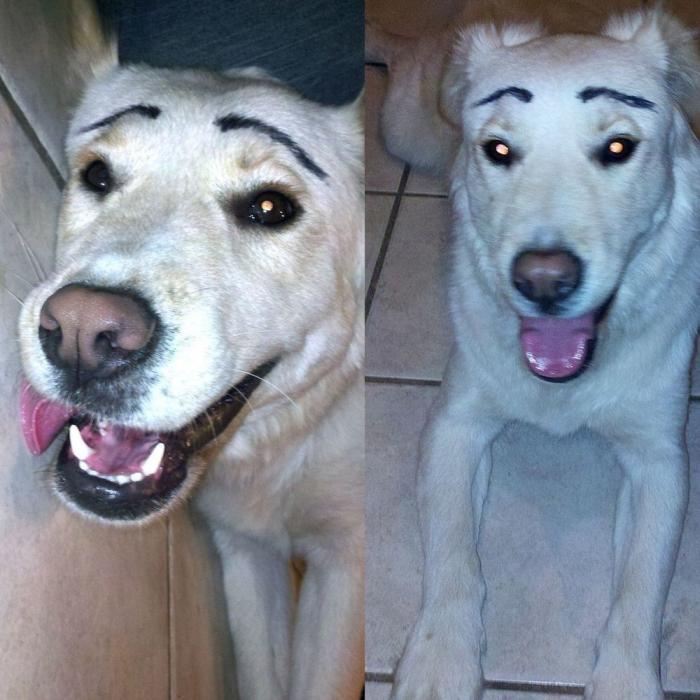 7 webs para reírse un rato (FOTOS)