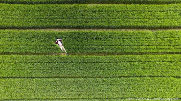 Las mejores fotos con drones de 2015 demuestran que todo se ve mejor desde el aire