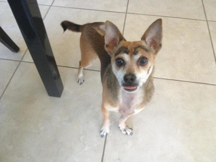 7 webs para reírse un rato (FOTOS)