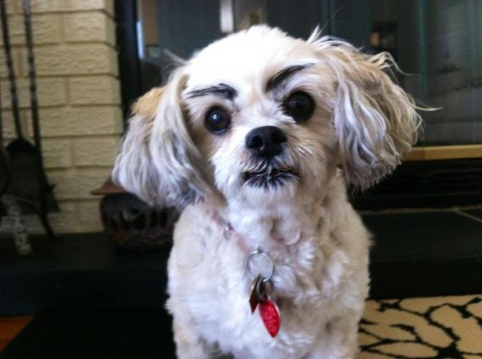 7 webs para reírse un rato (FOTOS)