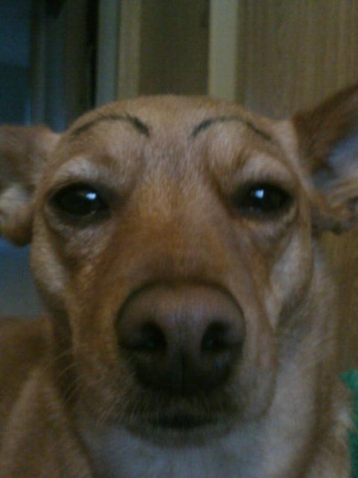 7 webs para reírse un rato (FOTOS)