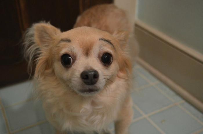 7 webs para reírse un rato (FOTOS)