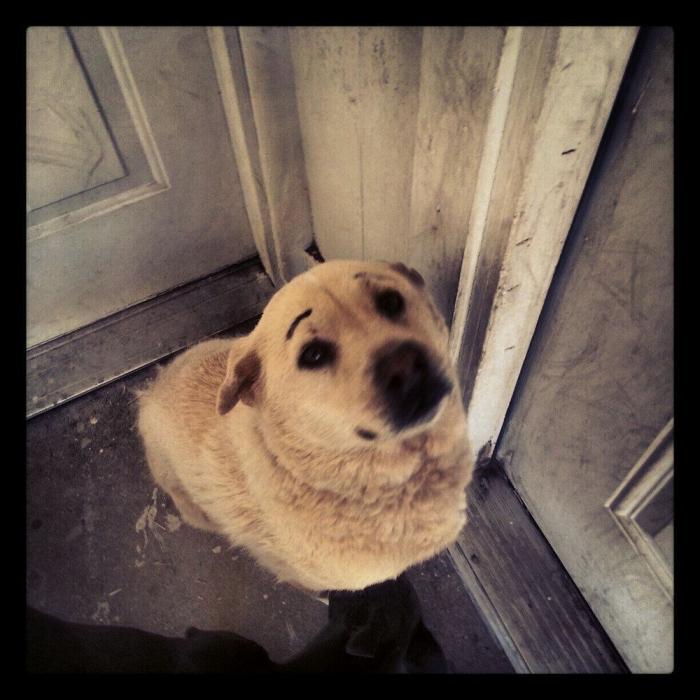 7 webs para reírse un rato (FOTOS)