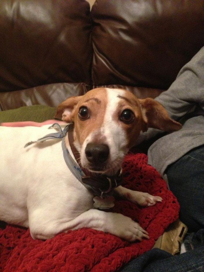 7 webs para reírse un rato (FOTOS)