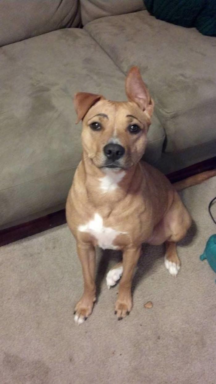 7 webs para reírse un rato (FOTOS)