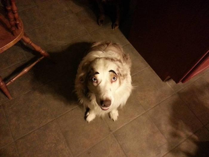 7 webs para reírse un rato (FOTOS)