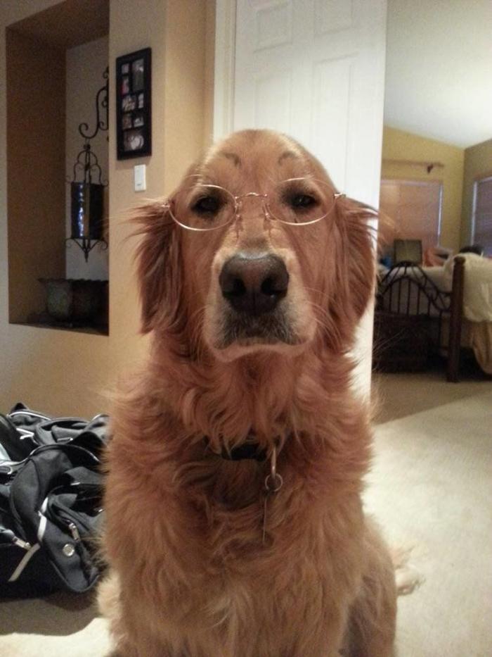 7 webs para reírse un rato (FOTOS)