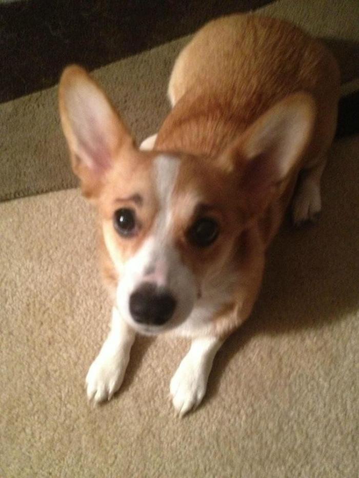 7 webs para reírse un rato (FOTOS)