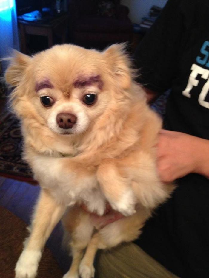 7 webs para reírse un rato (FOTOS)