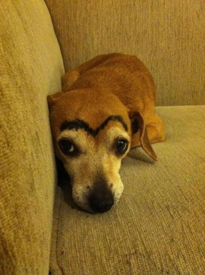 7 webs para reírse un rato (FOTOS)