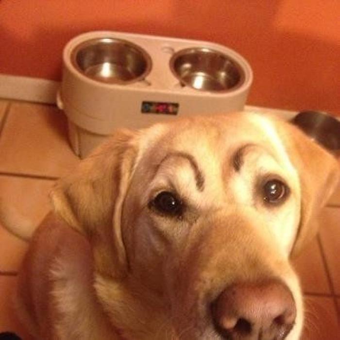 7 webs para reírse un rato (FOTOS)