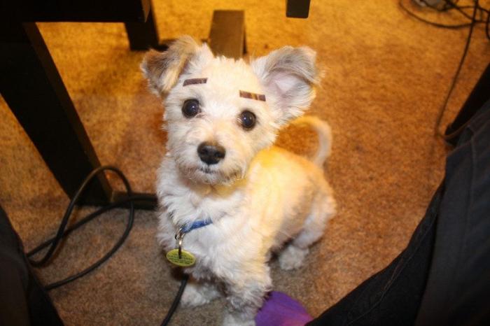 7 webs para reírse un rato (FOTOS)