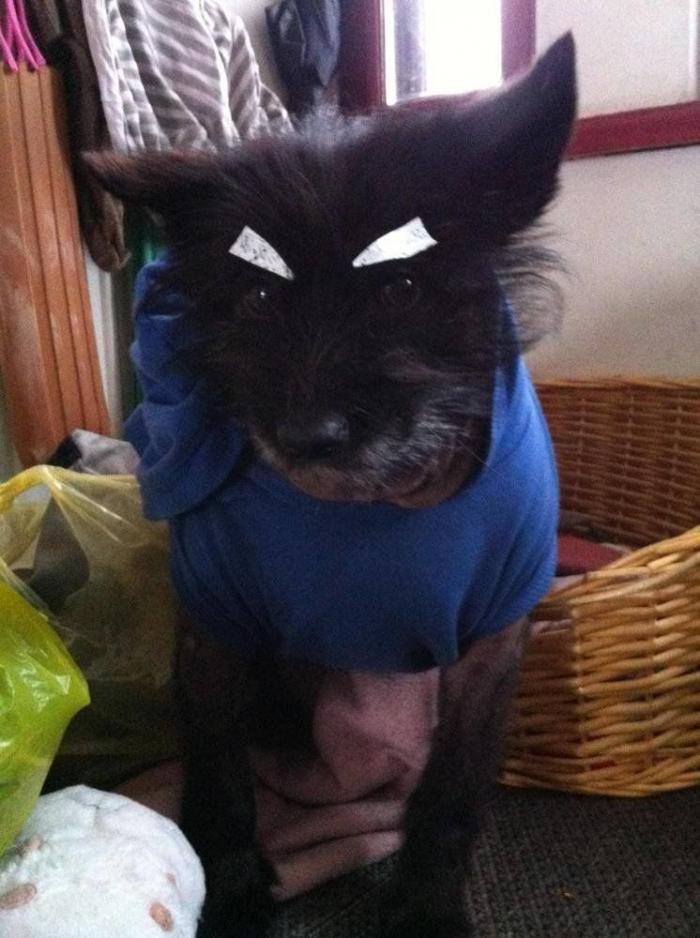 7 webs para reírse un rato (FOTOS)