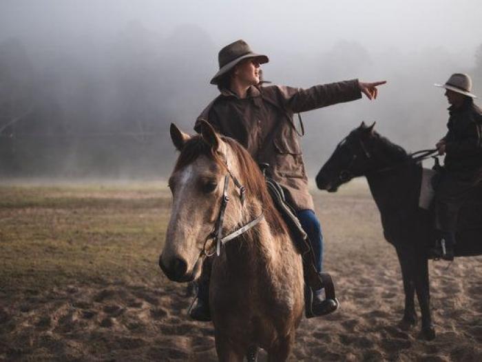 La página web de Avlo, el 'AVE low cost' de Renfe, se cae