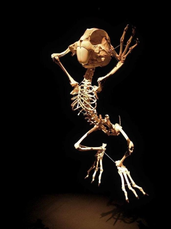 La cárcel de Ai Weiwei y otras obras de la Bienal de Venecia (FOTOS)