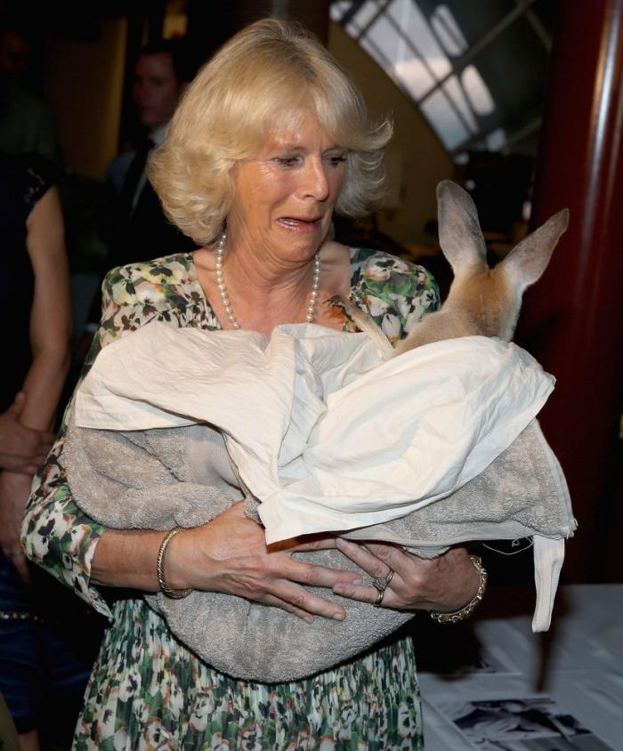 Las peores fotos de los famosos: imágenes de celebridades que nunca debieron ver la luz (FOTOS)