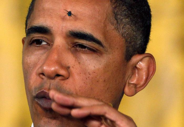 Las peores fotos de los famosos: imágenes de celebridades que nunca debieron ver la luz (FOTOS)