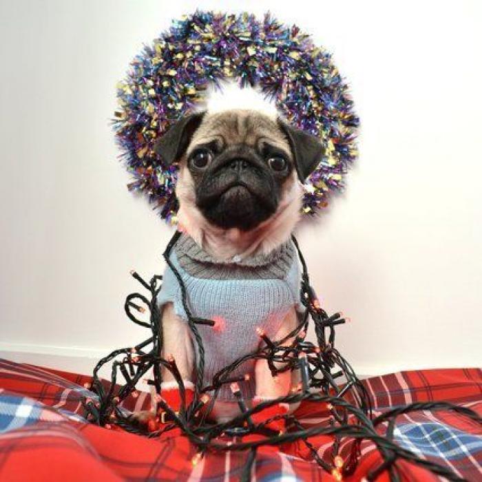 ¿Eres el típico cuñado de las comidas de Navidad? (TEST)