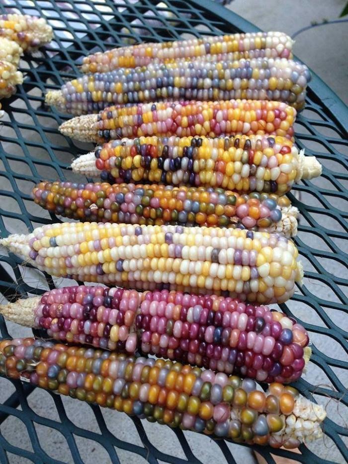 Día de la Tierra: Es el cambio climático, estúpido