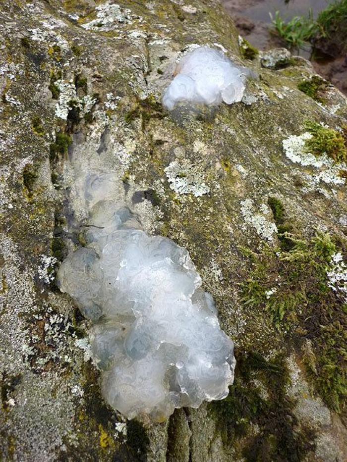 Día de la Tierra: Es el cambio climático, estúpido