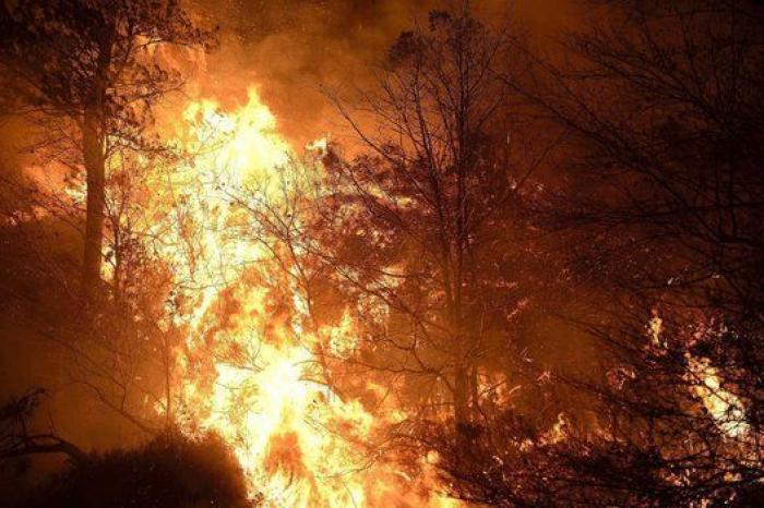 El impactante vídeo del descuido de un conductor en una gasolinera