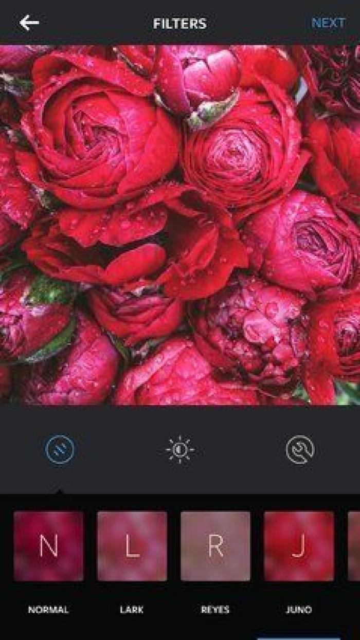 Gutiérrez-Rubí: "La cuenta de Alexandria Ocasio-Cortez se ha convertido en el ejemplo a seguir en Instagram"