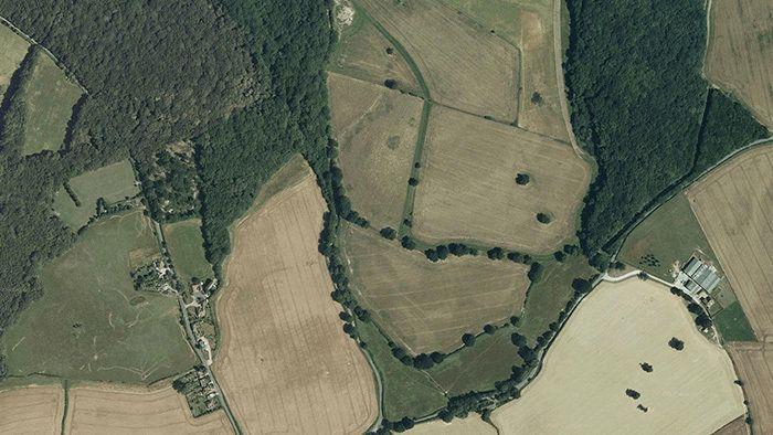 Cómo Google Maps quiere acabar con tu problema con los idiomas