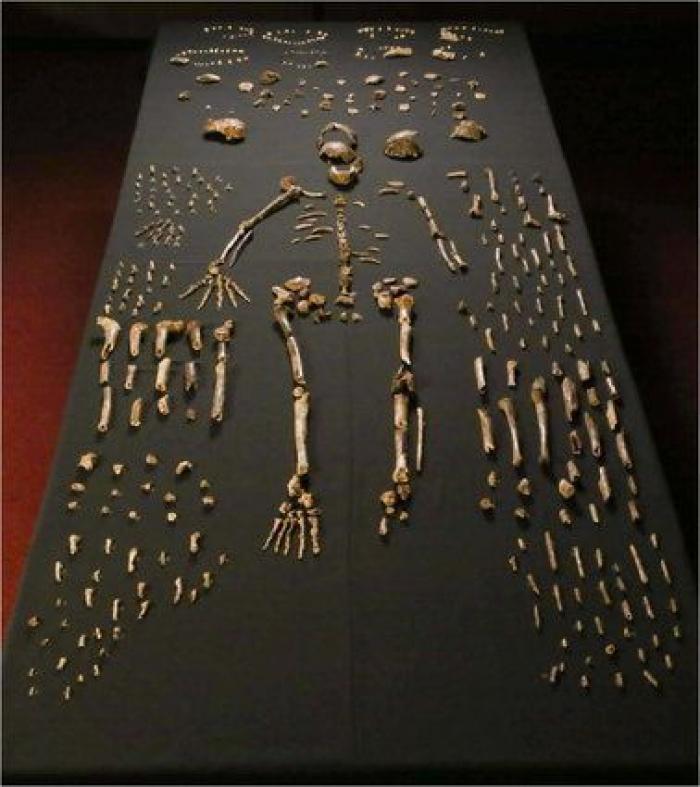 Doce meses, doce hitos científicos: así fue la ciencia en 2015