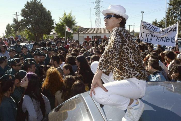 El PP rechaza en el Congreso legislar contra el maltrato animal y el Toro de la Vega