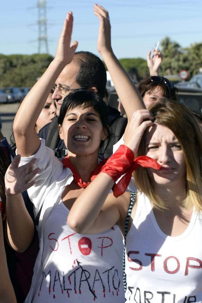 El PP rechaza en el Congreso legislar contra el maltrato animal y el Toro de la Vega