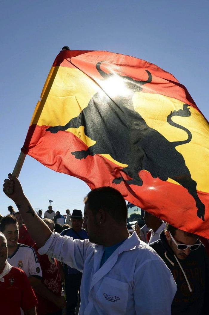 El PP rechaza en el Congreso legislar contra el maltrato animal y el Toro de la Vega