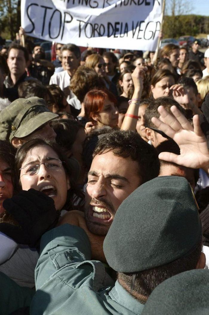 El PP rechaza en el Congreso legislar contra el maltrato animal y el Toro de la Vega