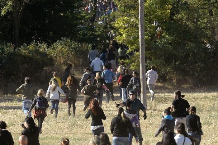 El PP rechaza en el Congreso legislar contra el maltrato animal y el Toro de la Vega