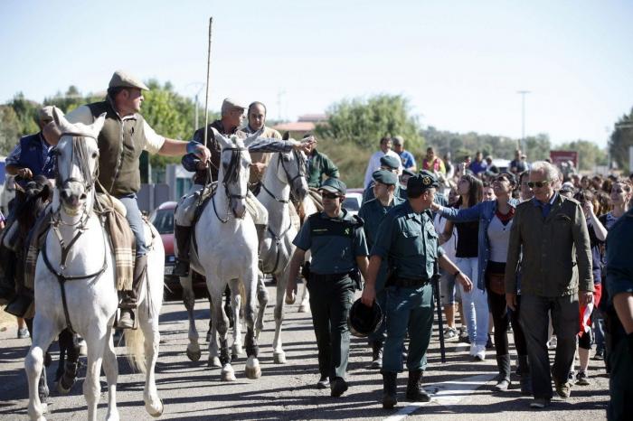 El PP rechaza en el Congreso legislar contra el maltrato animal y el Toro de la Vega