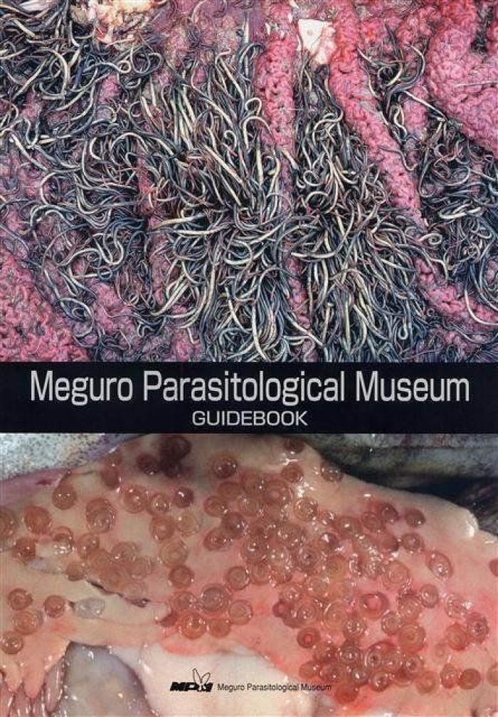 Andrés Delgado, memoria del espacio