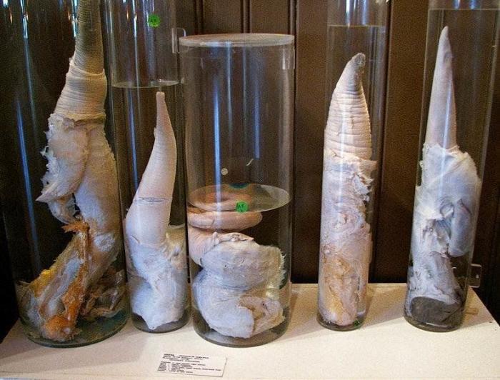 Andrés Delgado, memoria del espacio