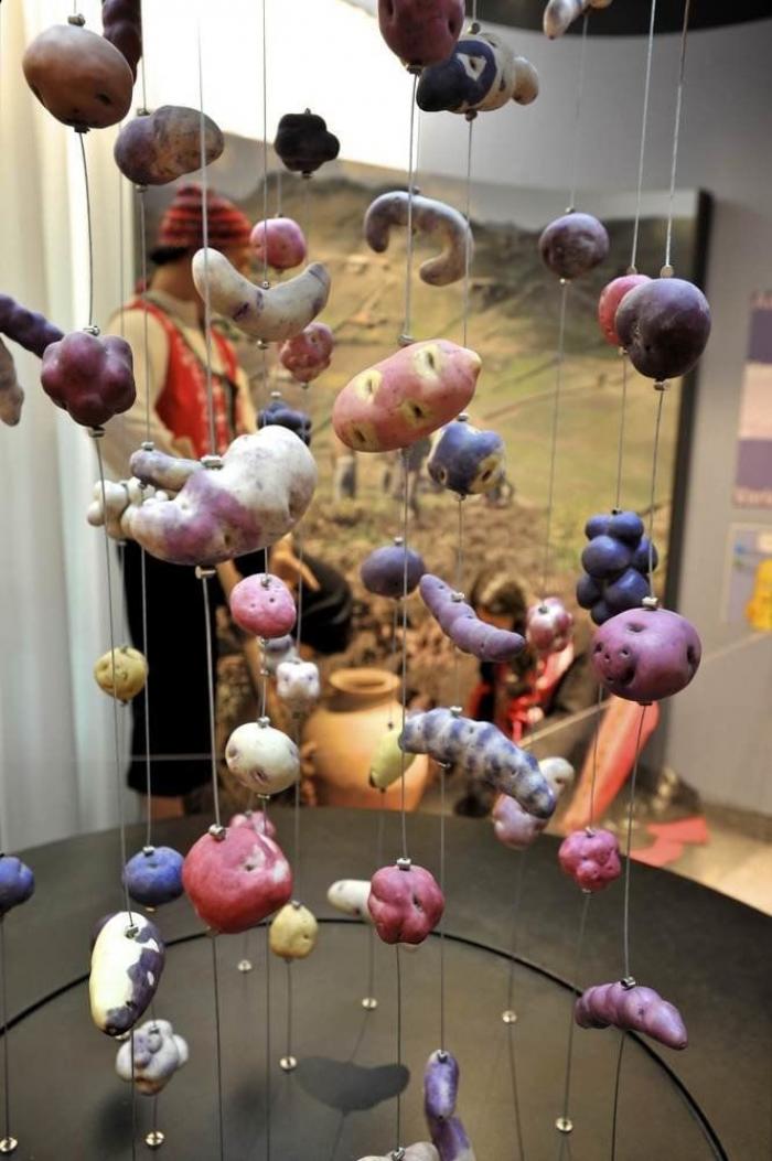 Andrés Delgado, memoria del espacio