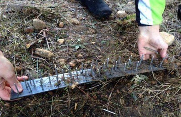 El acusado de atropellar al ciclista Alejandro Valverde y a dos compañeros fue guardia civil