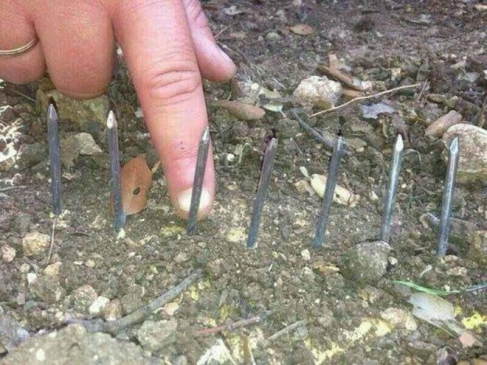 El acusado de atropellar al ciclista Alejandro Valverde y a dos compañeros fue guardia civil