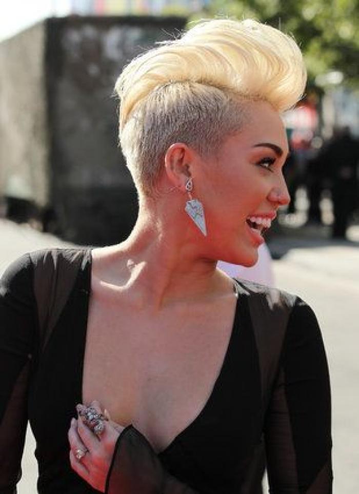 Qué van a hacer Miley Cyrus y Liam Hemsworth con los 16 animales que compartían