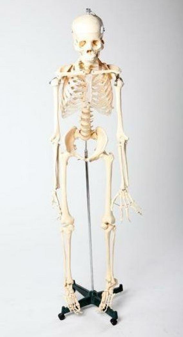 Con el final de Breaking Bad, la AMC vende hasta los calzoncillos de Walter White (FOTOS)