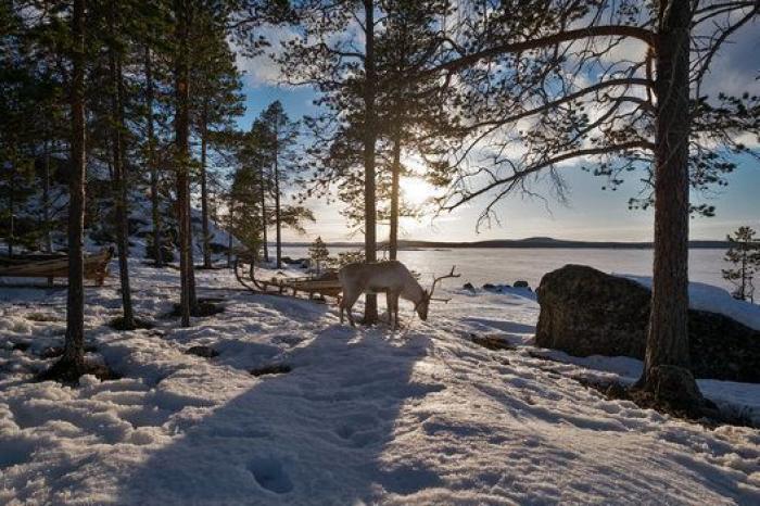 El océano Ártico empezó a calentarse décadas antes de lo que se pensaba