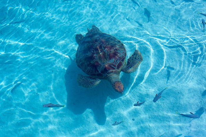 La historia de la humanidad contada por los océanos