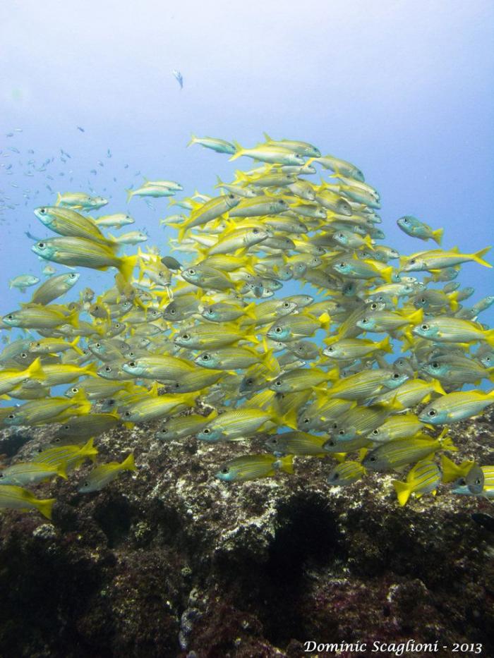 La historia de la humanidad contada por los océanos